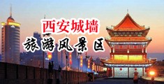 大屌狂插后入女神中国陕西-西安城墙旅游风景区